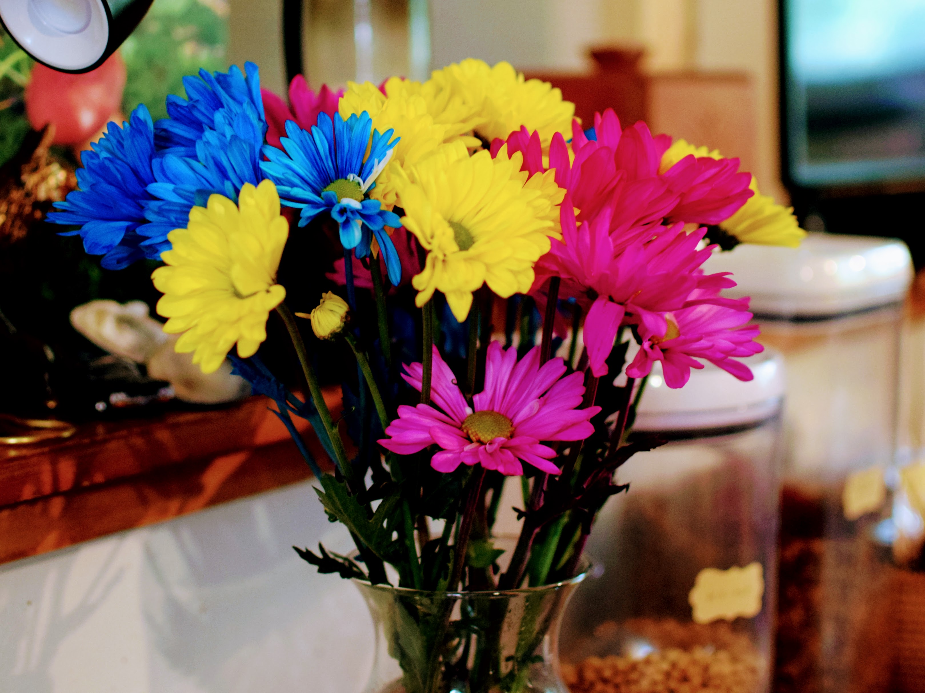 A bouquet of candy colored flowers