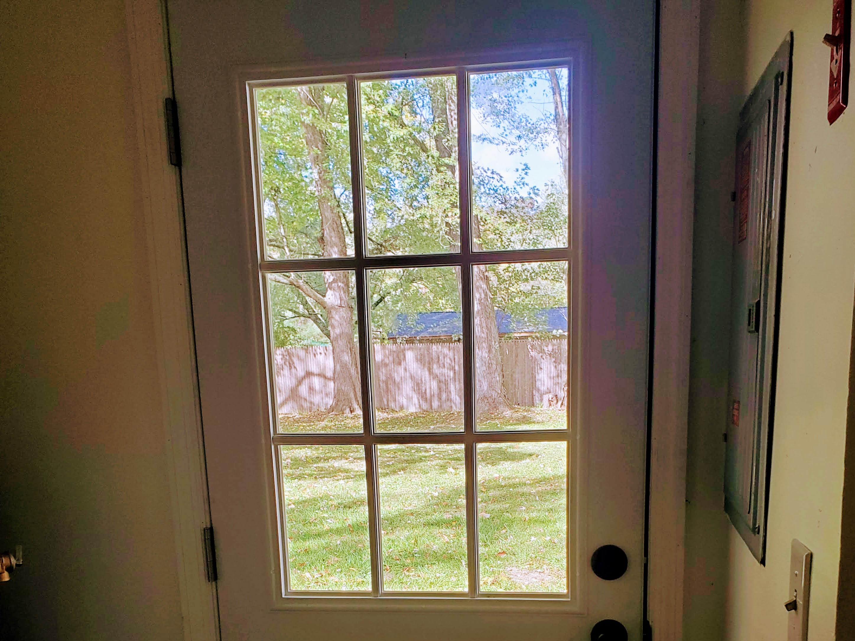 A backyard with two trees seen through a window