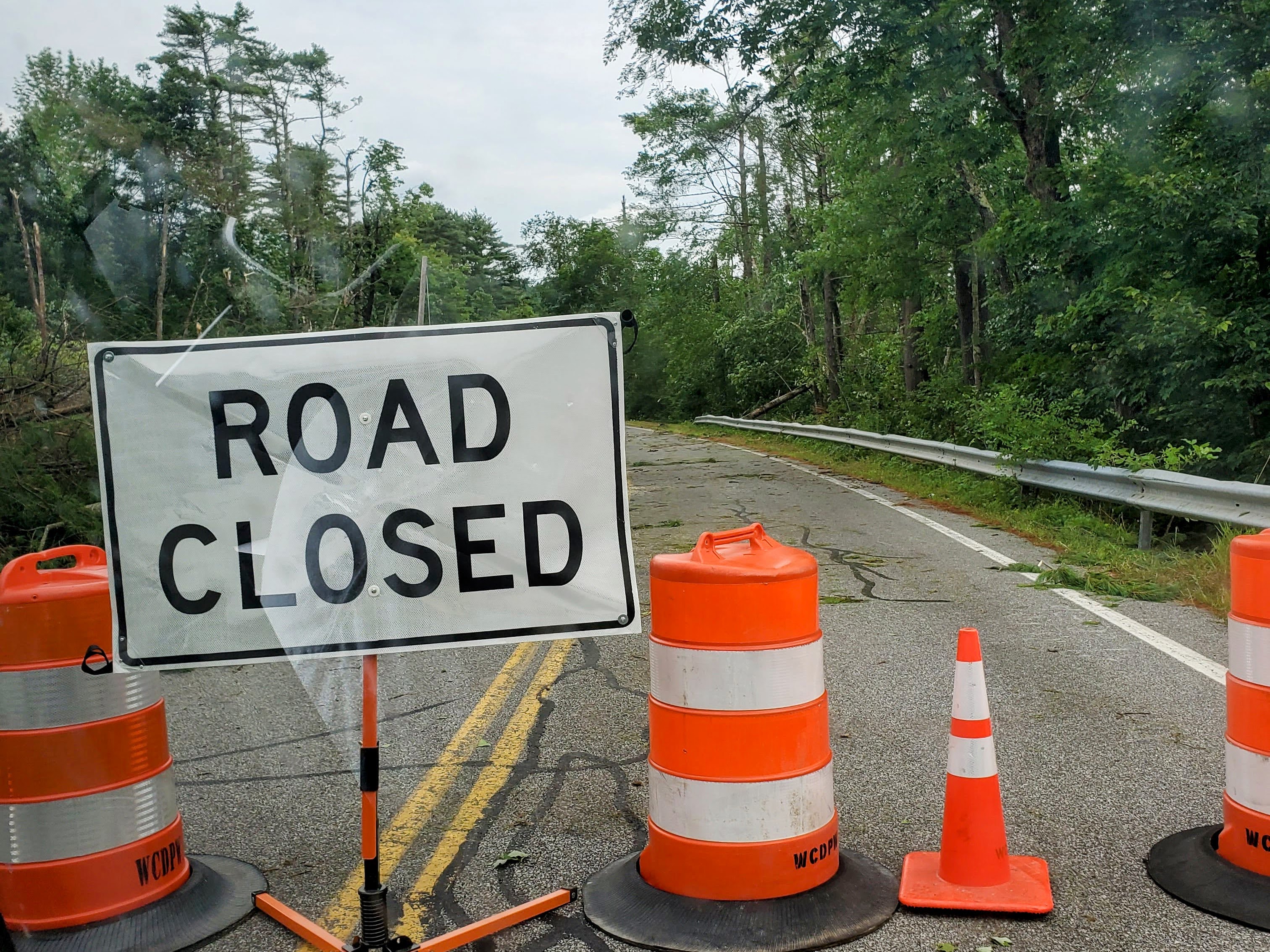 A road closed sign and orange cones in front of downed trees