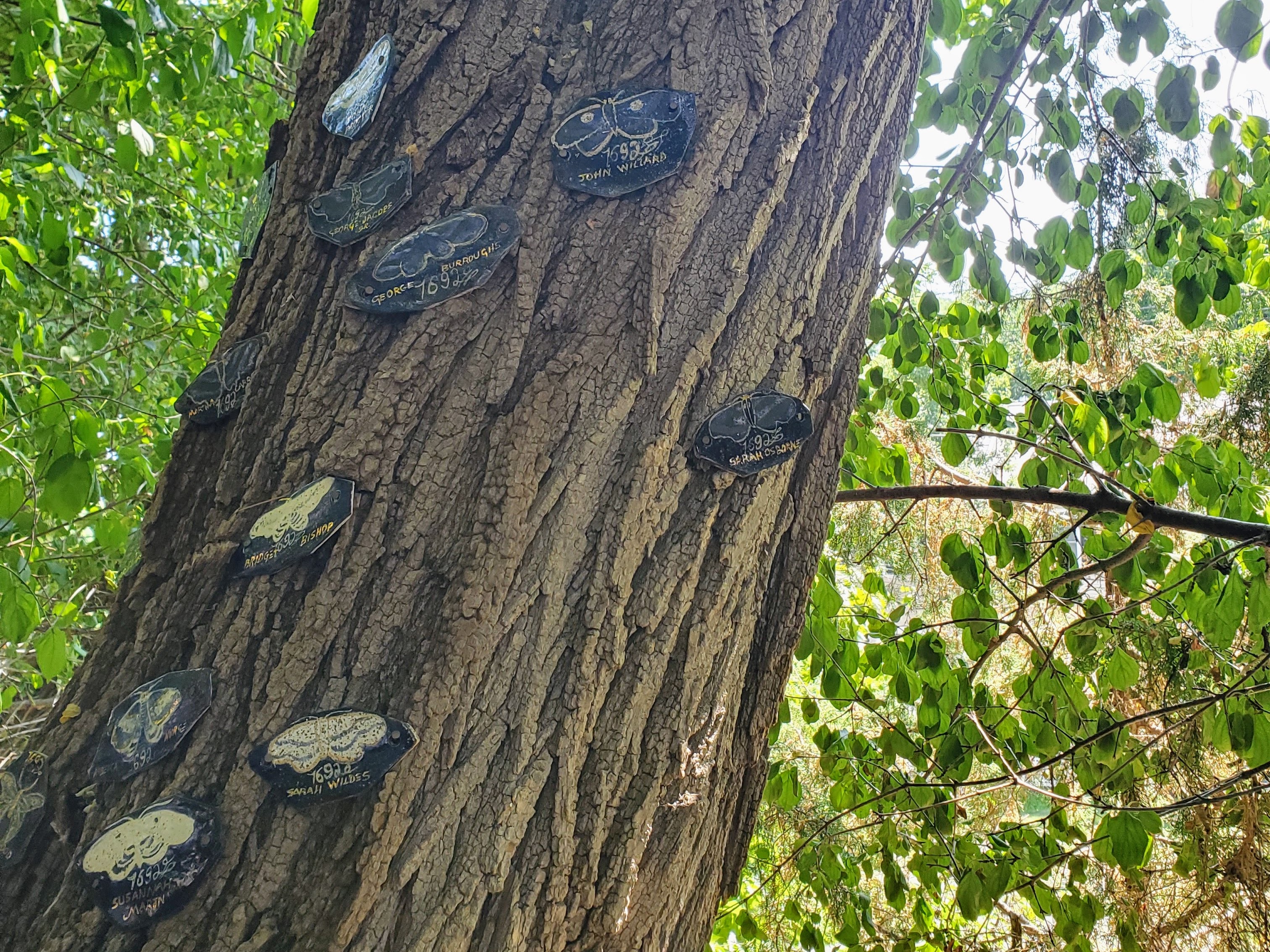 A tree with blue ceramic plaques embedded in it